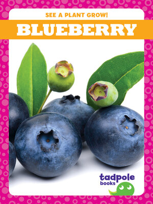 cover image of Blueberry
